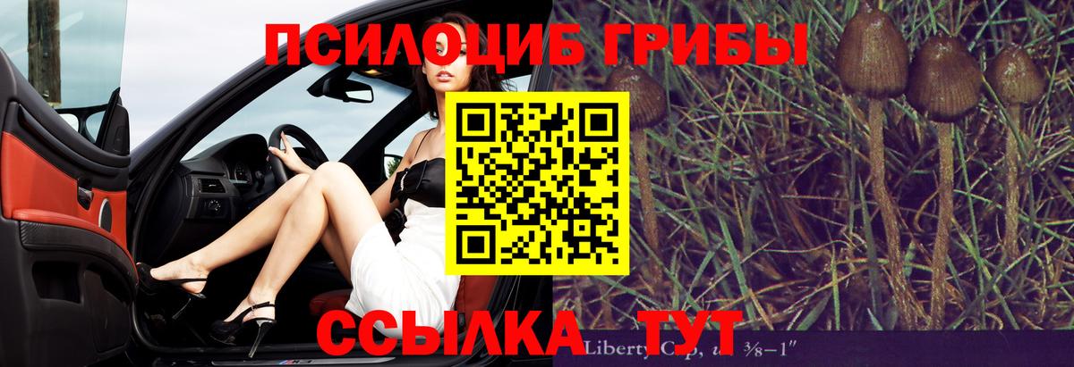 Гай  Псилоцибиновые грибы мухоморы  Вход с VPN 